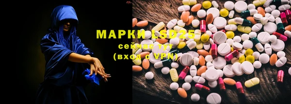 спайс Касимов
