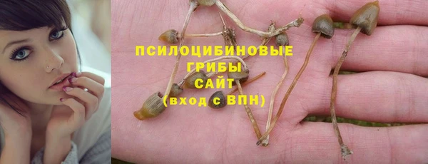 ПСИЛОЦИБИНОВЫЕ ГРИБЫ Карталы