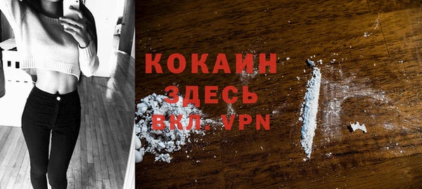 спайс Касимов