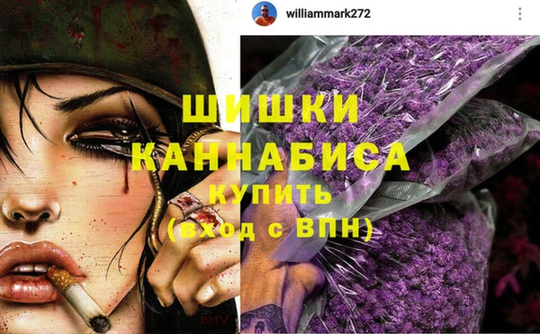 ПСИЛОЦИБИНОВЫЕ ГРИБЫ Карталы