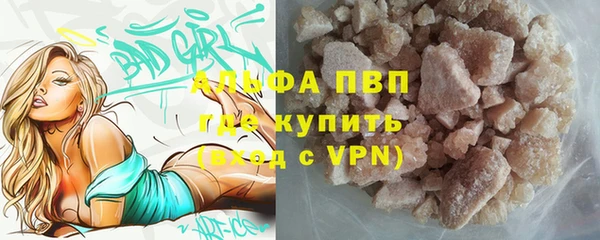 спайс Касимов