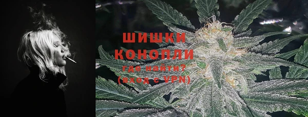 ПСИЛОЦИБИНОВЫЕ ГРИБЫ Карталы