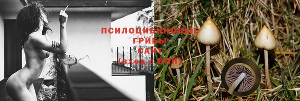 спайс Касимов