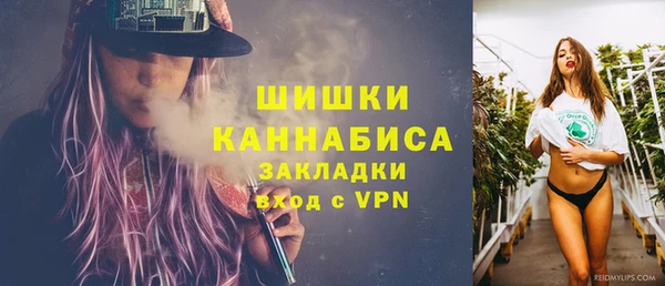 ПСИЛОЦИБИНОВЫЕ ГРИБЫ Карталы